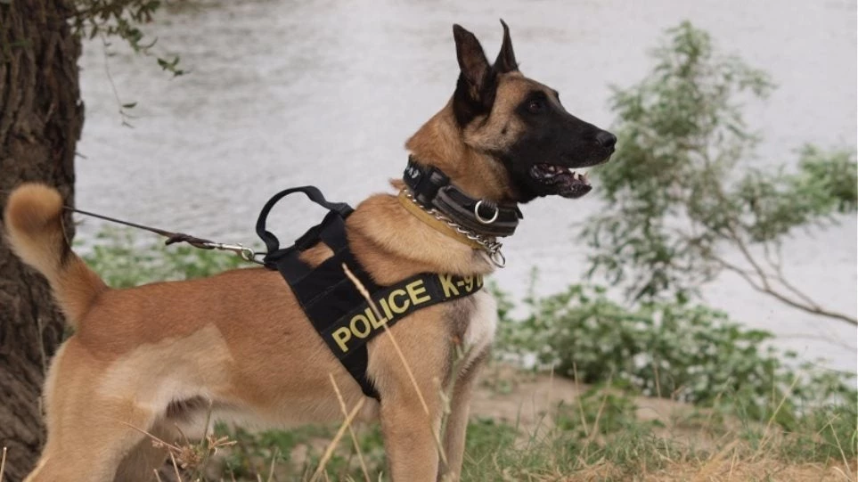 Τούρκος οδηγός φορτηγού μετέφερε σχεδόν 200 κιλά ηρωίνη!